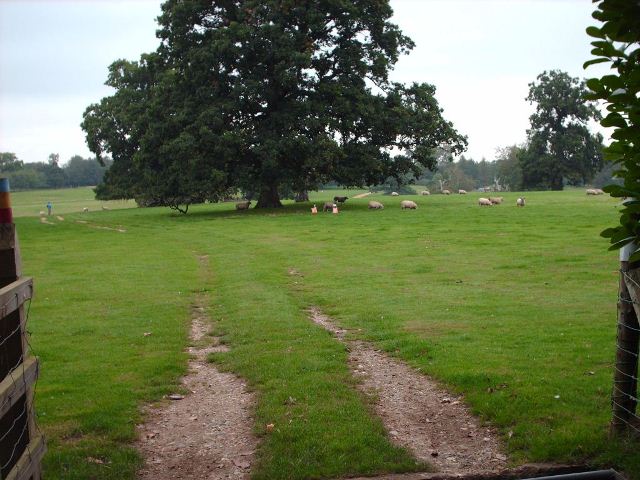 IMAG1054.jpg