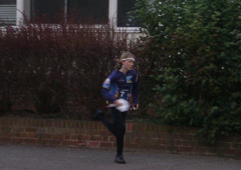 IMGP4227.jpg